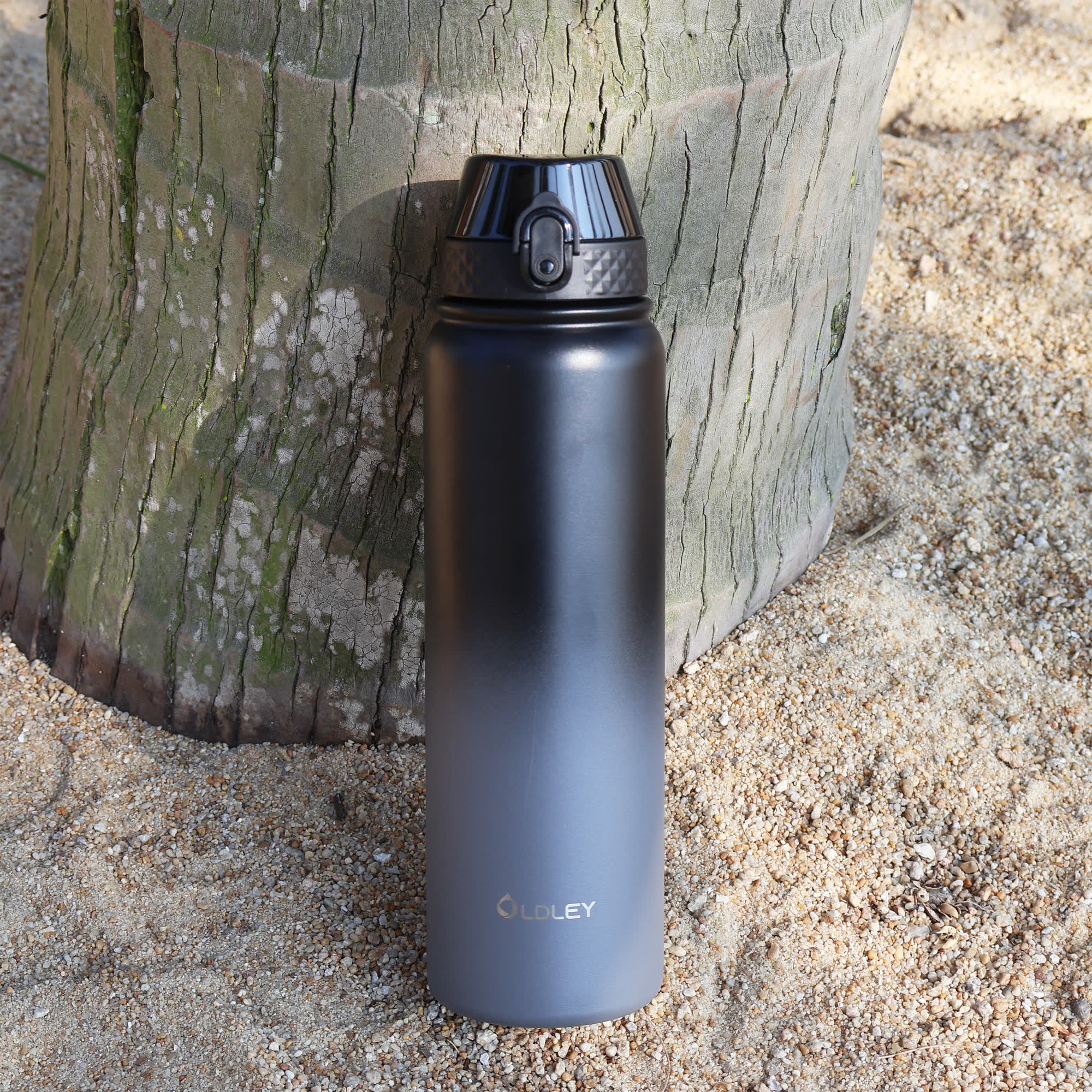 matte dark grey water bottle with black lid leaning against palm tree trunk on sandy beach