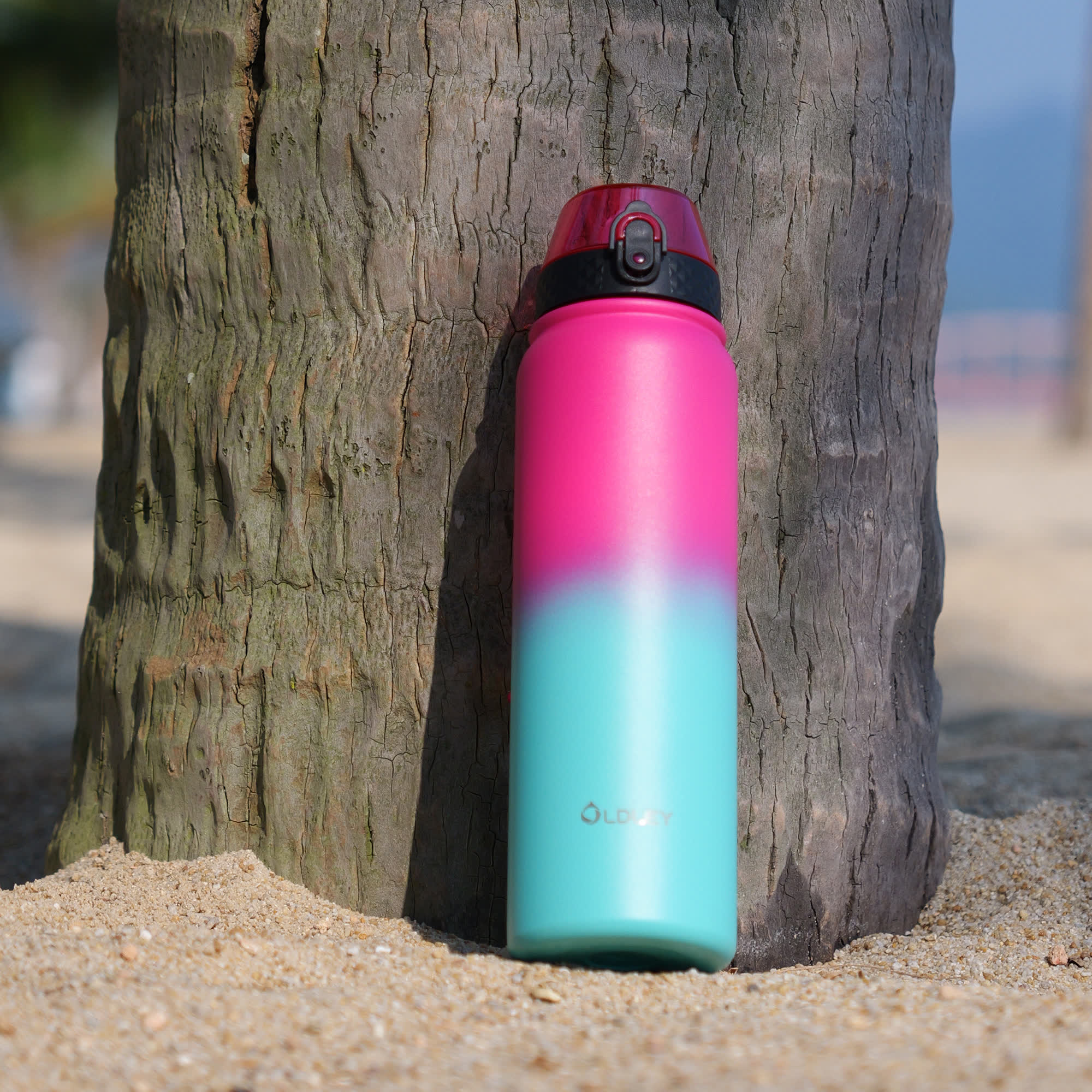 pink to mint green gradient water bottle standing on sandy beach leaning against palm tree