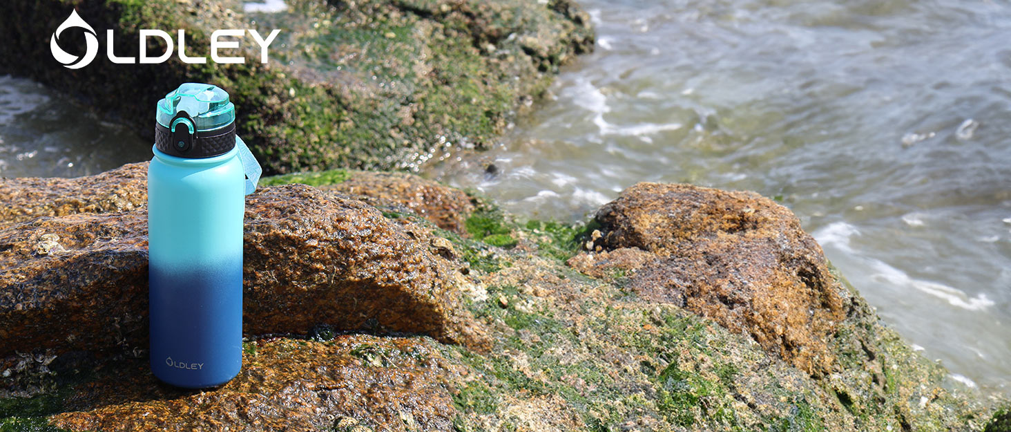 blue to navy gradient water bottle standing on mossy rocks near ocean water with logo