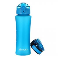 Oldley Insulated Water Bottle with Straw 20oz Stainless Steel Water Bottles  w