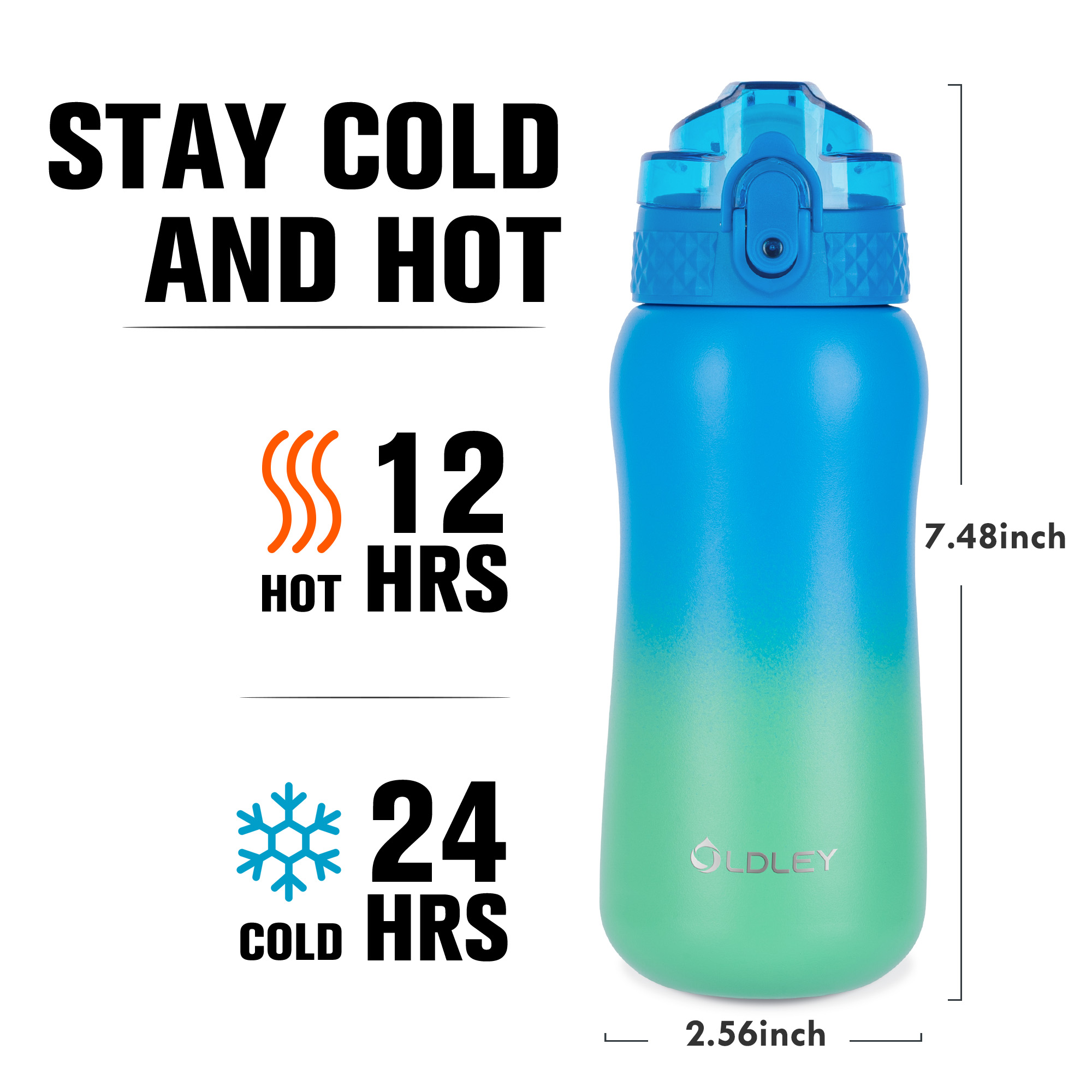 Oldley 12oz Tropical Rainforest Kids Metal Water Bottle - Image 4