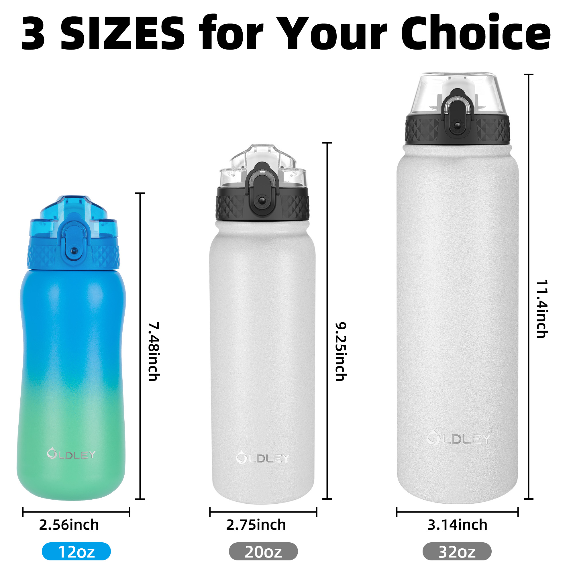 Oldley 12oz Tropical Rainforest Kids Metal Water Bottle - Image 3